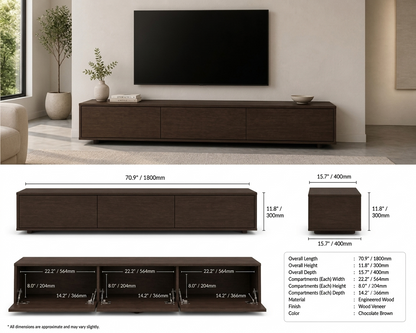 The Zaren TV Unit
