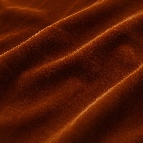 VS - Rust